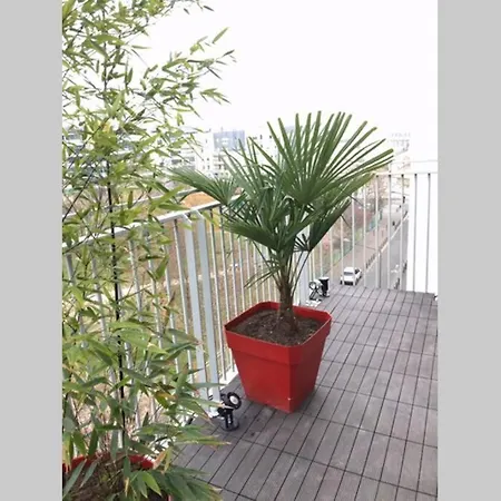 Apartment Fratellini 3 Bedroom Bright And Design Saint-Ouen (Seine-Saint-Denis)