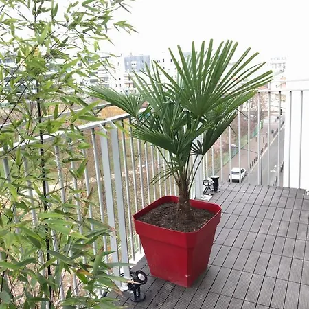 Apartment Fratellini 3 Bedroom Bright And Design Saint-Ouen (Seine-Saint-Denis)